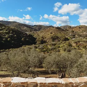 Elements Bed & Breakfast Comares
